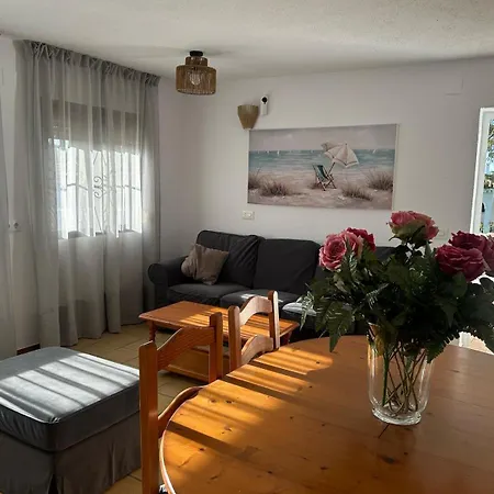 Palmeras Conil De La Frontera