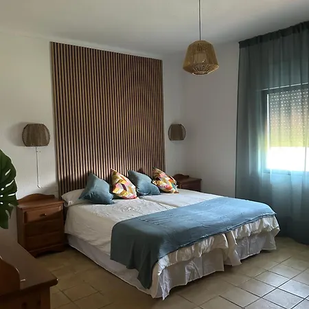 Palmeras Conil De La Frontera