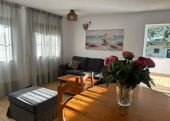 Palmeras Conil De La Frontera